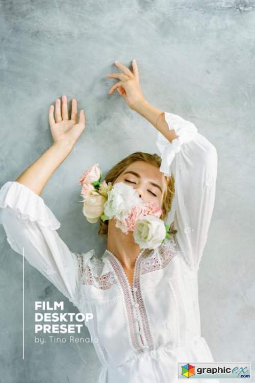  Tino Renato - FILM Desktop Preset 